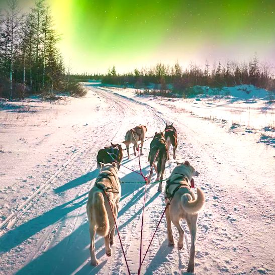 Voyage Finlande all inclusive 2026 2027 2028 séjour tout inclus tout compris multi-activités